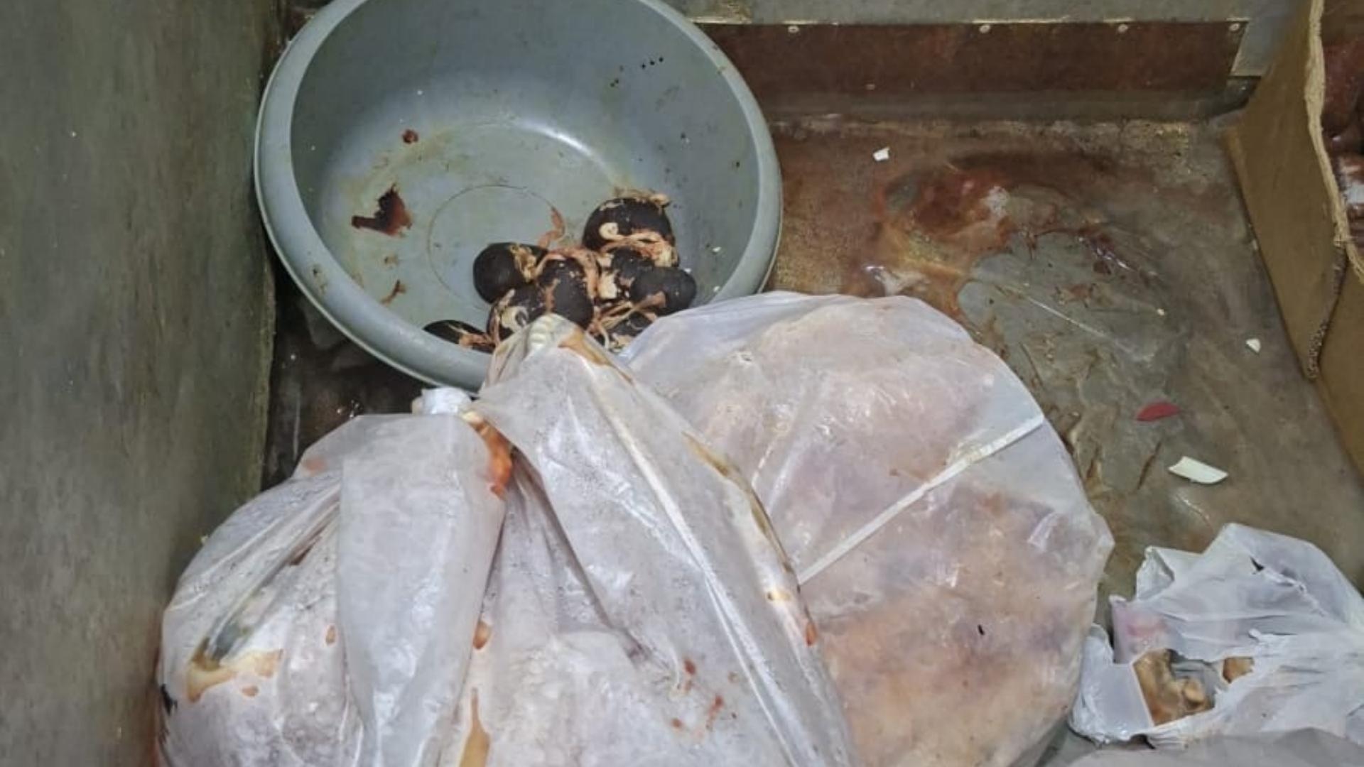 صورٌ مرعبة من أحد المسالخ... وإقفاله بالشمع الأحمر!