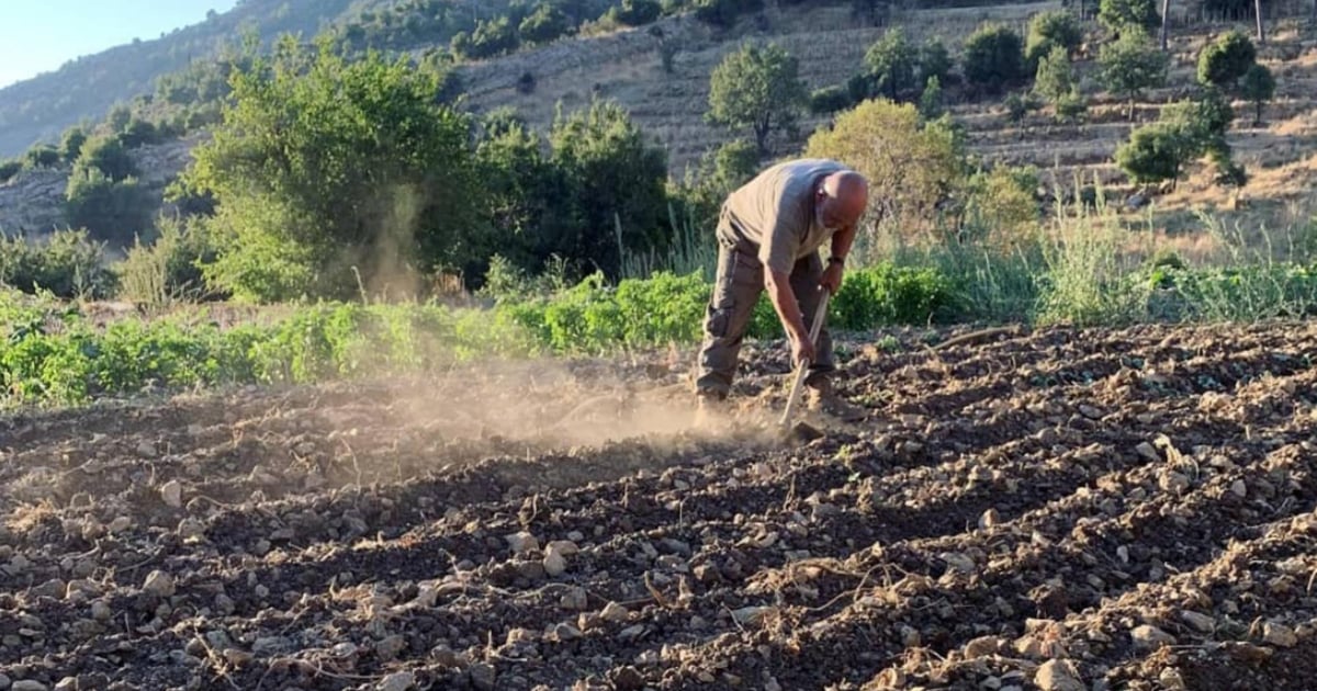 موافقة على مشروع دعم طارئ للقطاع الزراعي في لبنان