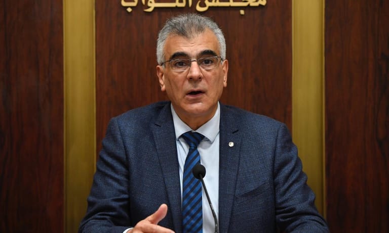 Sayegh to MTV: Our share in the government is not limited to a ministry, and we will present our ideas to all the ministers; the country is at rock bottom, and anything built above zero will be seen as an achievement