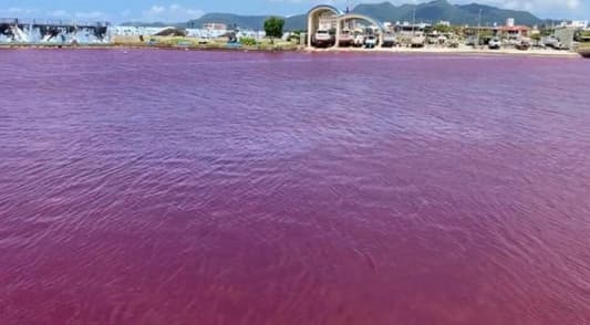 Beer factory leak turns Japanese port red
