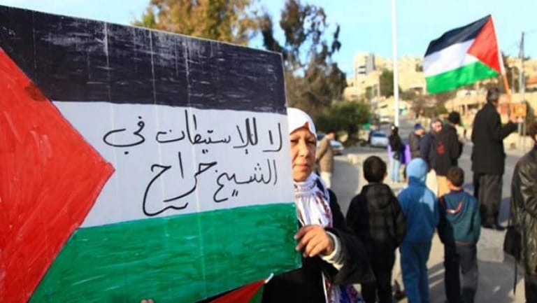 قصّة حيّ "الشيخ جرّاح"