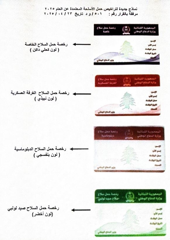 Defense Minister issues decision on gun licenses