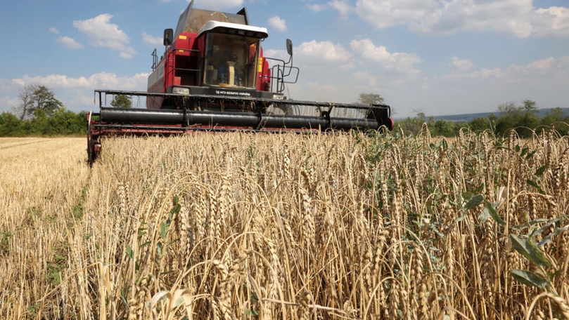 Poland, Slovakia, and Hungary to Defy EU and Extend Ban on Ukrainian Grain Imports