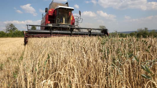 Poland, Slovakia, and Hungary to Defy EU and Extend Ban on Ukrainian Grain Imports