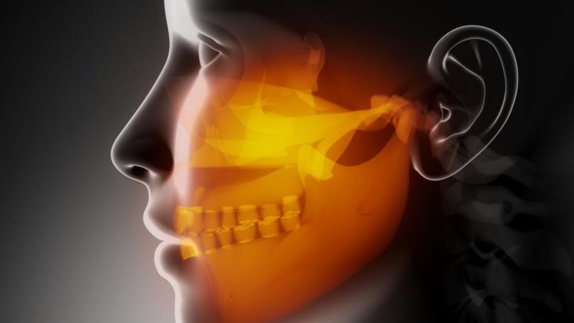 Scientists Identify Whole New Muscle Layer in Human Jaw