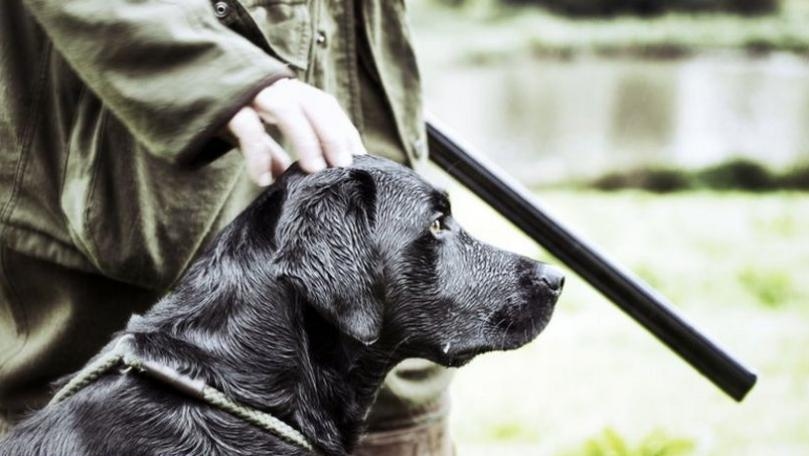 Main Highlight Image