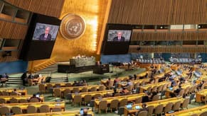 UN General Assembly Set to Back Palestinian Bid for Membership