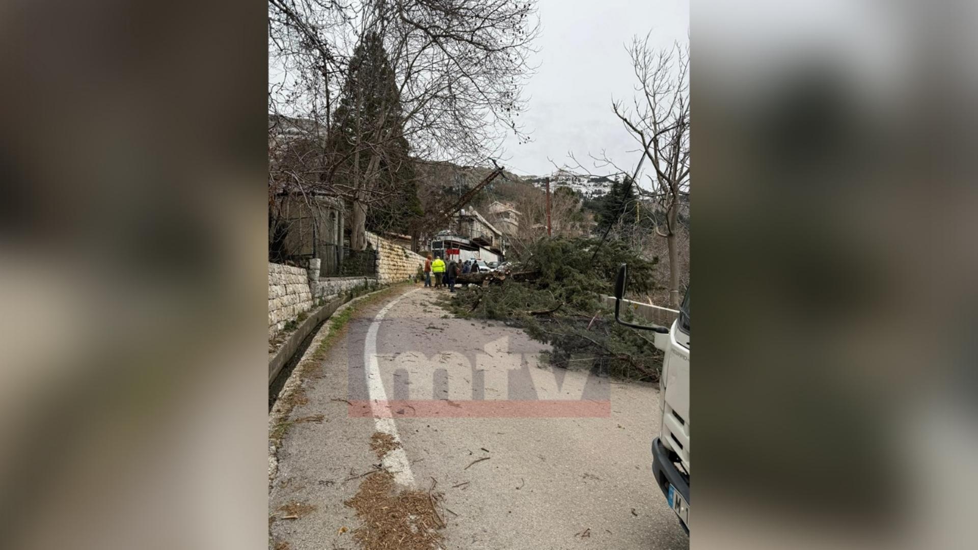 بالصّور: سقوط شجرة بسبب الرياح.. وقطع طريق