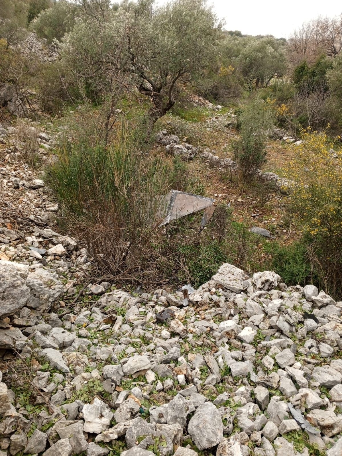 Photos: Drone Crashes on Outskirts of Asia