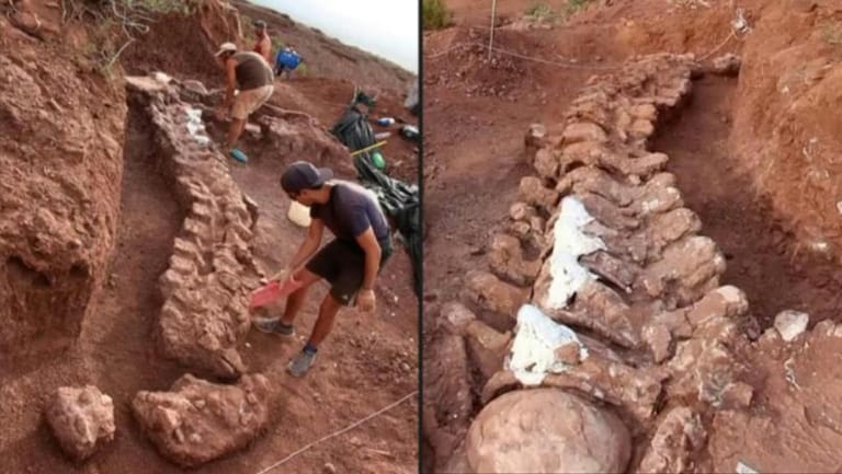 Dinosaur Found in Argentina May Be Largest Yet, Scientists Say