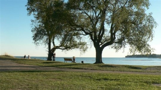 Main Highlight Image