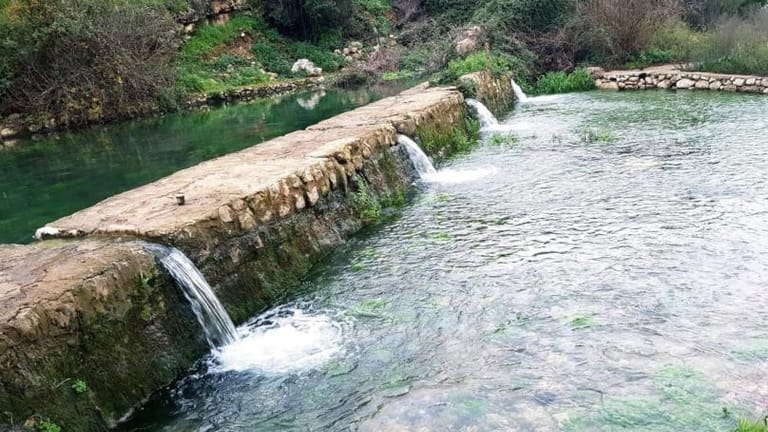 محمية مهدّدة بالحرائق والجفاف