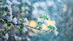 ربيعٌ ممطر وبرق ورعد... فإلى متى؟