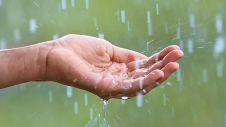 مياه المطر تعزّز نموّ وقوّة الشعر