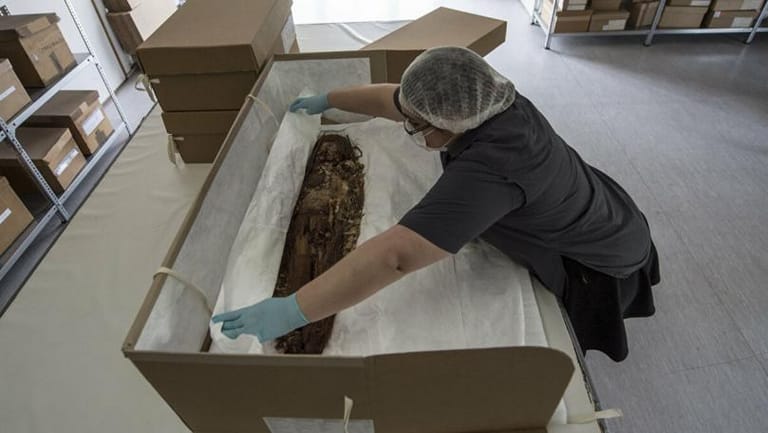 Chile's Ancient Mummies Added to UN Heritage List