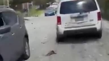 بالفيديو: المشهد في سوق الغرب - عاليه بعد الغارة