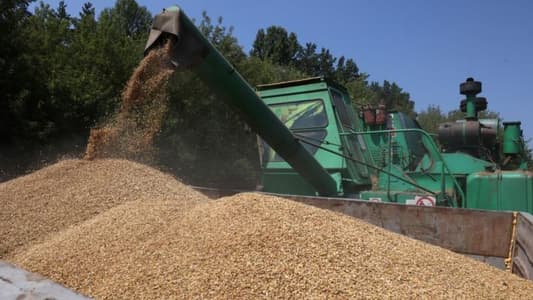 Reuters: Russia suspends wheat supplies to Syria due to "government uncertainty and payment issues