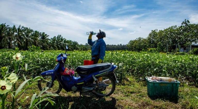 Global Temperature Rise Could See Billions Live in Places Where Human life Does Not Flourish