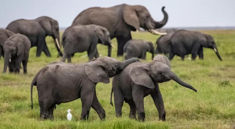 Main Highlight Image