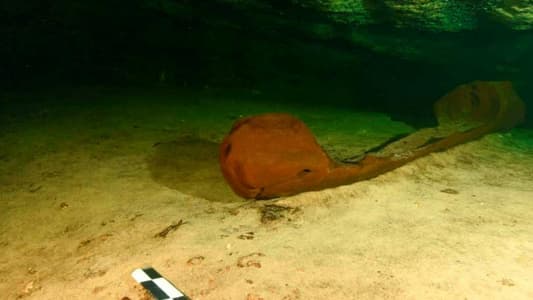 Rare, Ancient Maya Canoe Found in Mexico's Yucatan