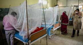 Nearly 1,000 people die of dengue in severe outbreak in Bangladesh