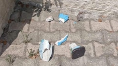 Photos: Statue of the Virgin Mary Vandalized