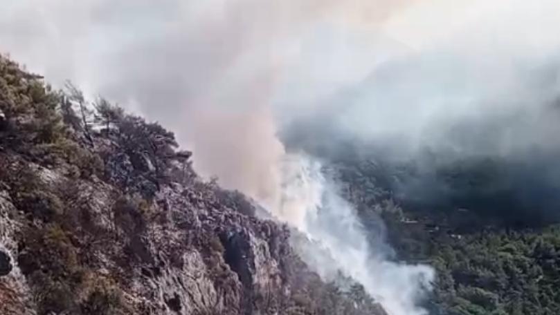 Watch: The Rabweh Fire Continues to Spread - MTV Lebanon