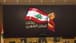 "لبنان القوي" كشف عن تحركات ميدانية لحظر تثبيت النازحين