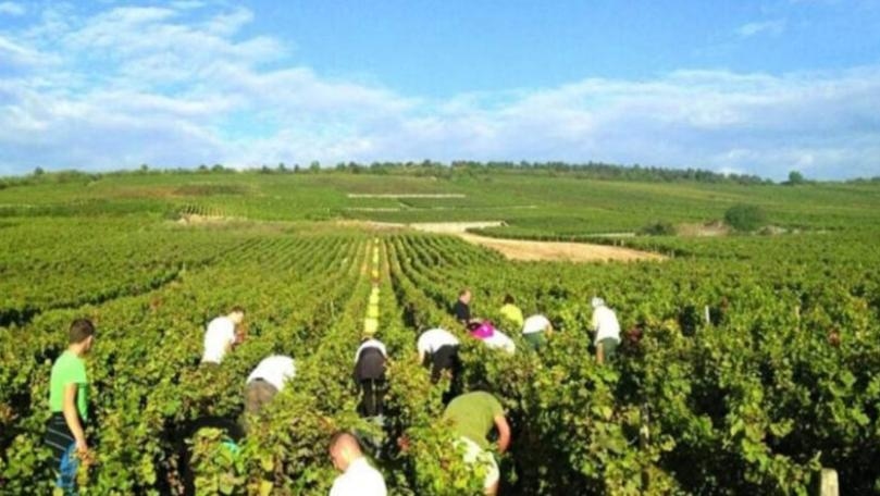 قصص نجاحات نوعيّة في هذه القطاعات!