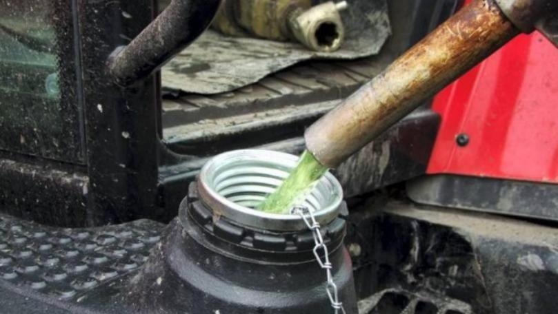 Main Highlight Image