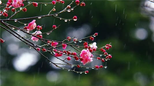 الطّقس "جنّ"... والأحد مُمطر!