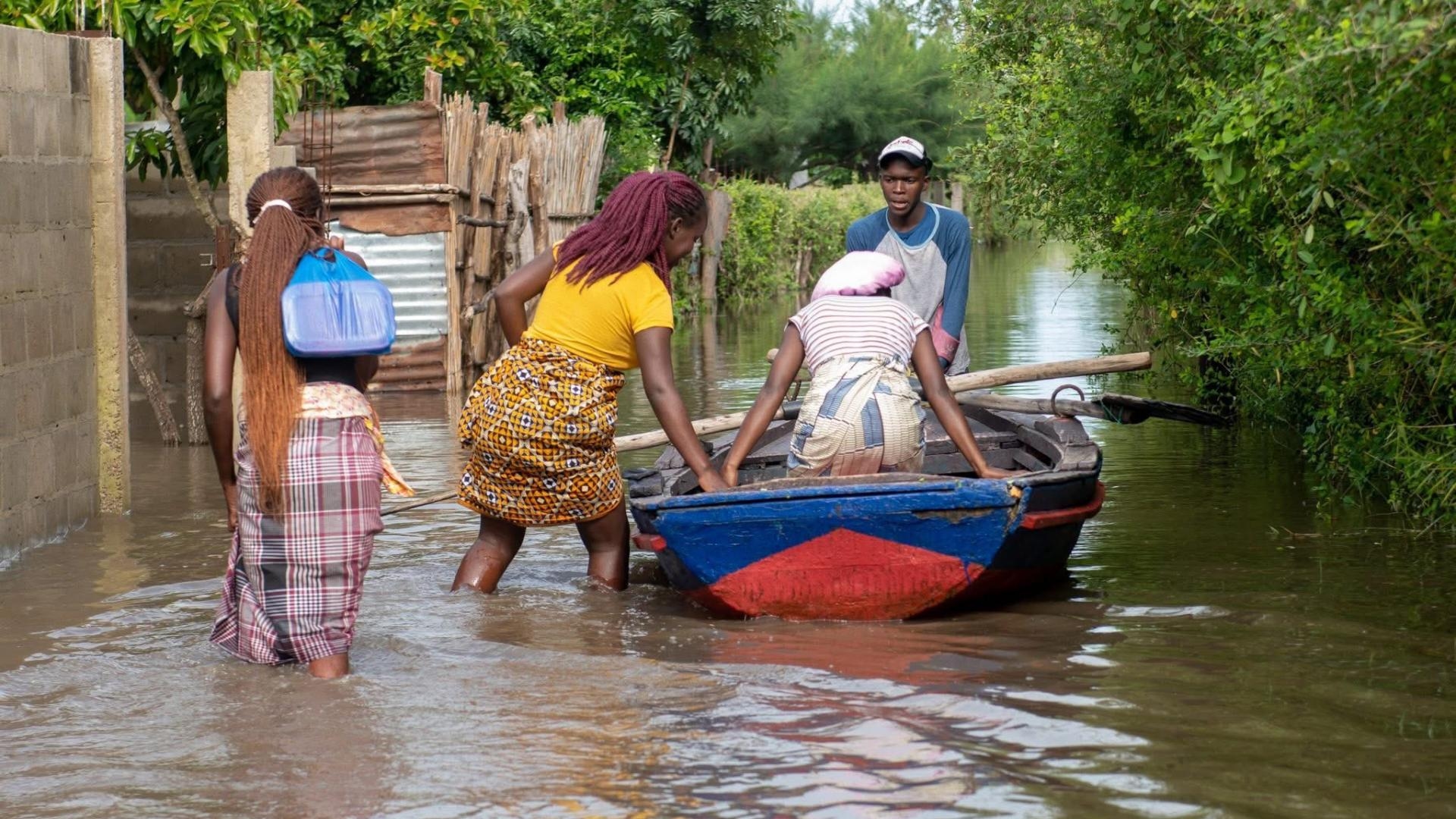 بعد الفيضانات.. التماسيح تغزو الشّوارع