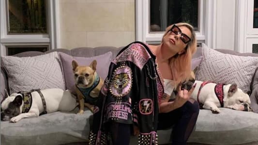 Lady Gaga's Dogs Found Safe After Armed Robbery