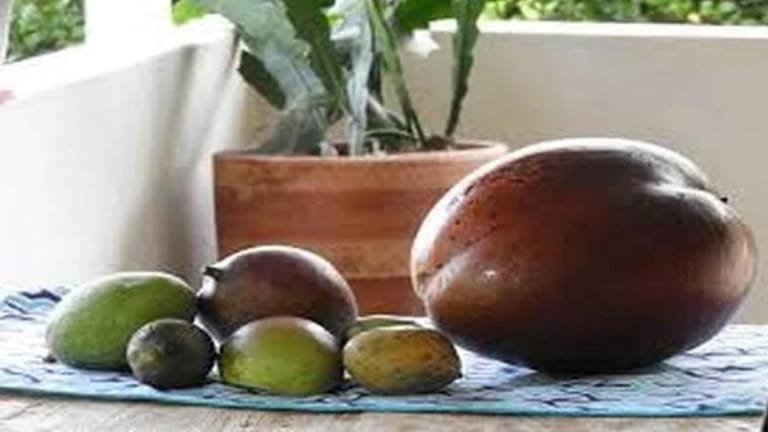 أرقام قياسية دخلت موسوعة غينيس عام 2022