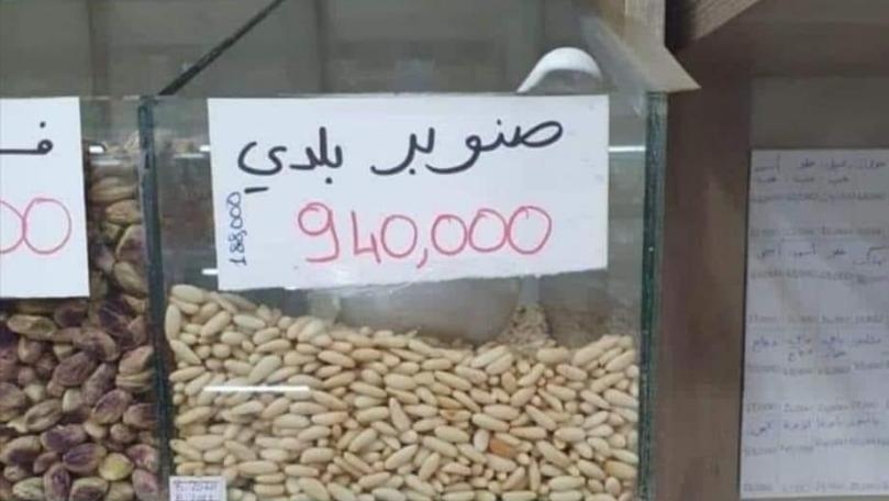 الصنوبر يربح المليون!
