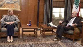 Berri leads a series of meetings at Ain El Tineh