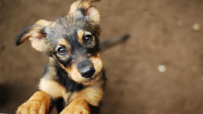 Main Highlight Image