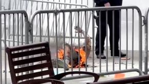 Man Sets Himself on Fire Outside Trump's Manhattan Hush Money Trial