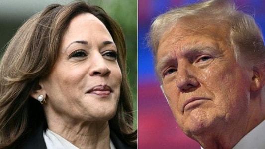 An thrilling boxing match between Trump and Harris that America’s billionaires are betting on