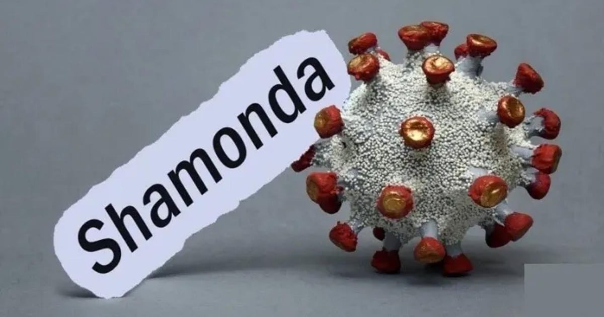 “Transmitted by insects”... First human case of the “Shamonda” virus!