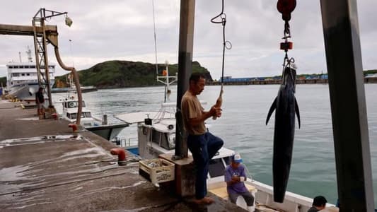 Japan's frontier islanders decry lack of plan to aid Taiwanese fleeing attack