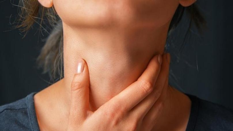 الدورة الصّوتيّة!