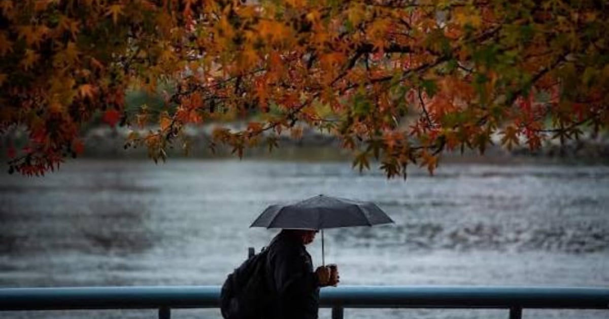 October bids us farewell with rain: fog, lightning and thunder!
