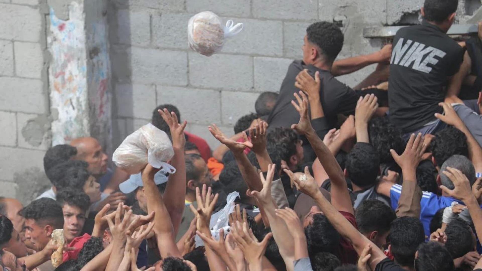 صورٌ مؤلمة: يتدافعون للحصول على الخبز