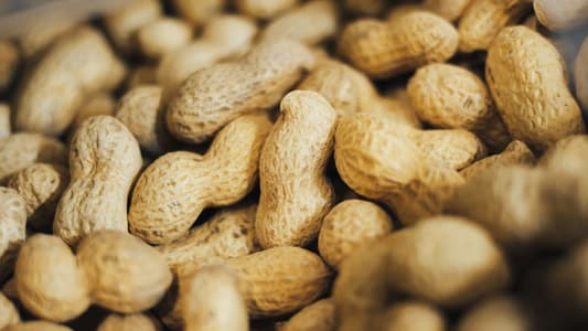 Adding Peanuts to Young Children's Diet Can Help Avoid Allergy, According to Study