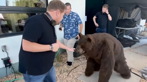 فشل "مقلب" ضد أديل في برنامج "كاربول كاريوكي"