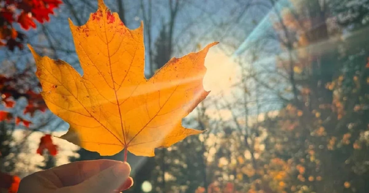 October Is Confused: Temperatures Rise Before Showers Hit!