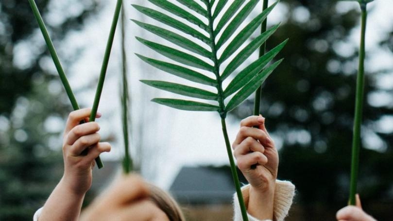 Main Highlight Image