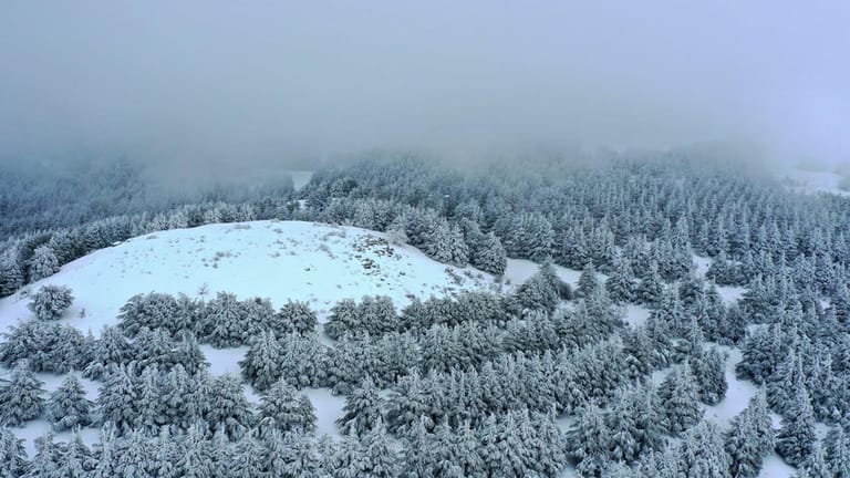 الثلوج قبل الـ"Weekend"... طقس شتوي بامتياز!