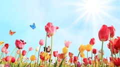 لبنان يُودّع نيسان بالأمطار... وهكذا يستقبل أيّار!